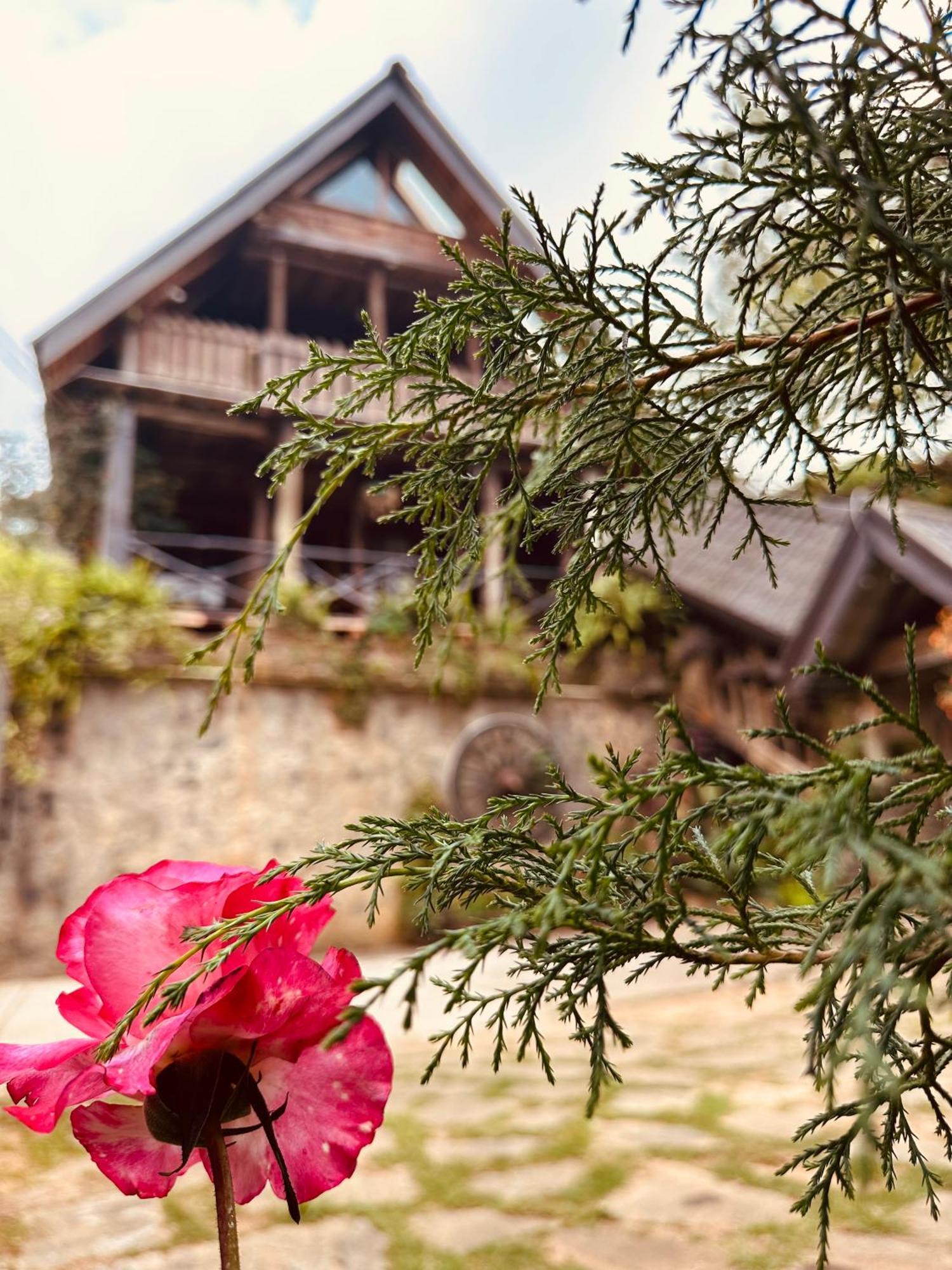 Villa 47 Nuwaraeliya Nuwara Eliya Exteriör bild