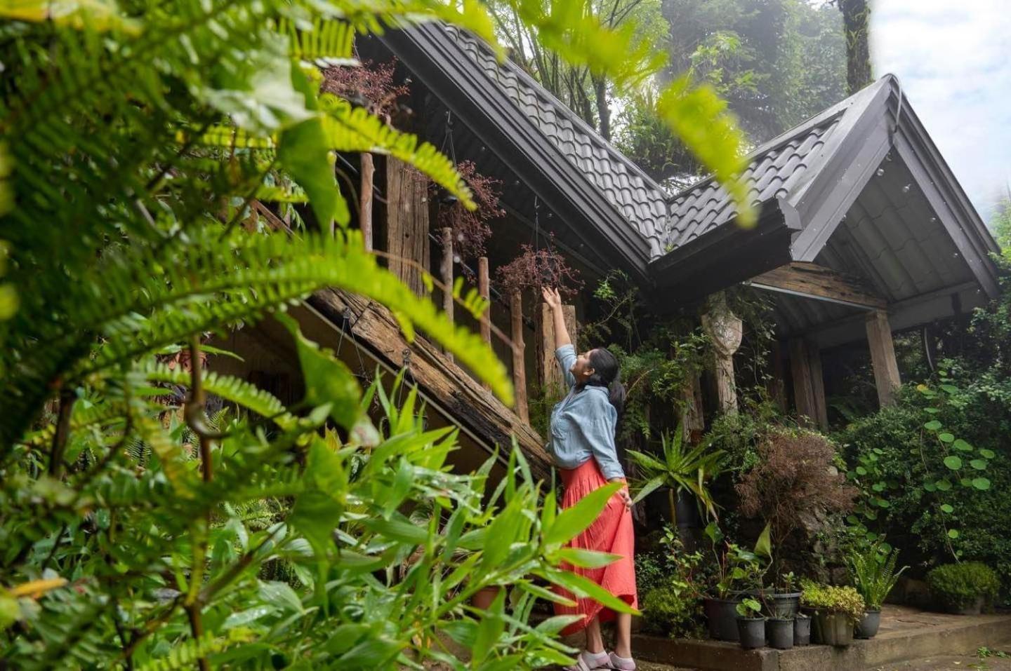 Villa 47 Nuwaraeliya Nuwara Eliya Exteriör bild